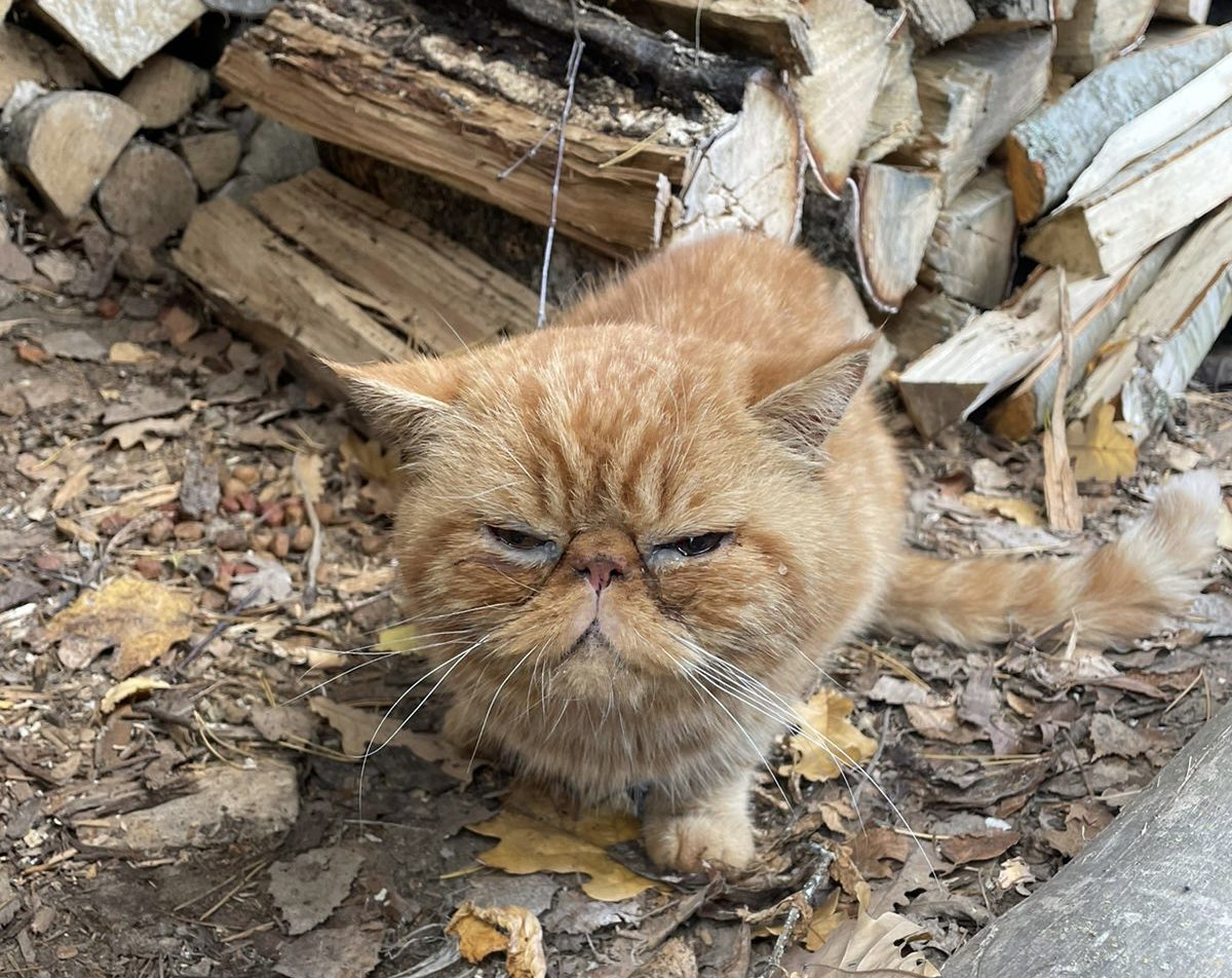 Первая встреча 