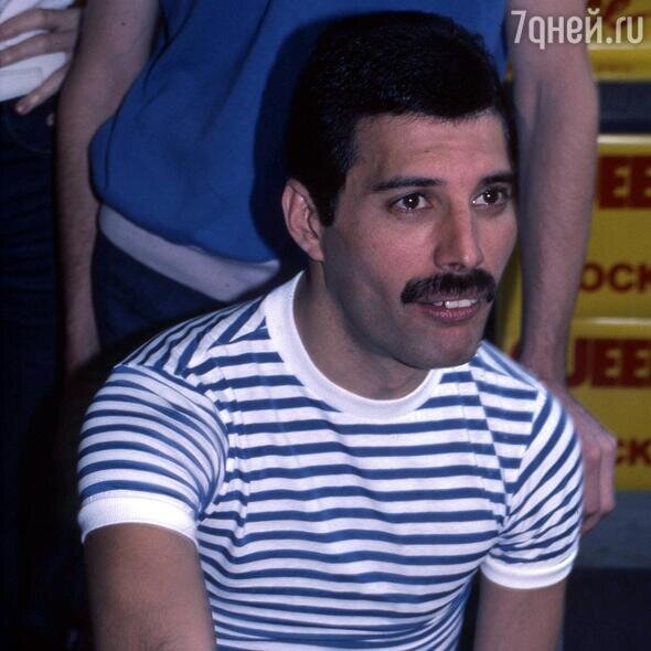    Публика узнала о болезни Фредди Меркьюри за два дня до смерти великого певца Walter McBride/imago/globallookpress.com