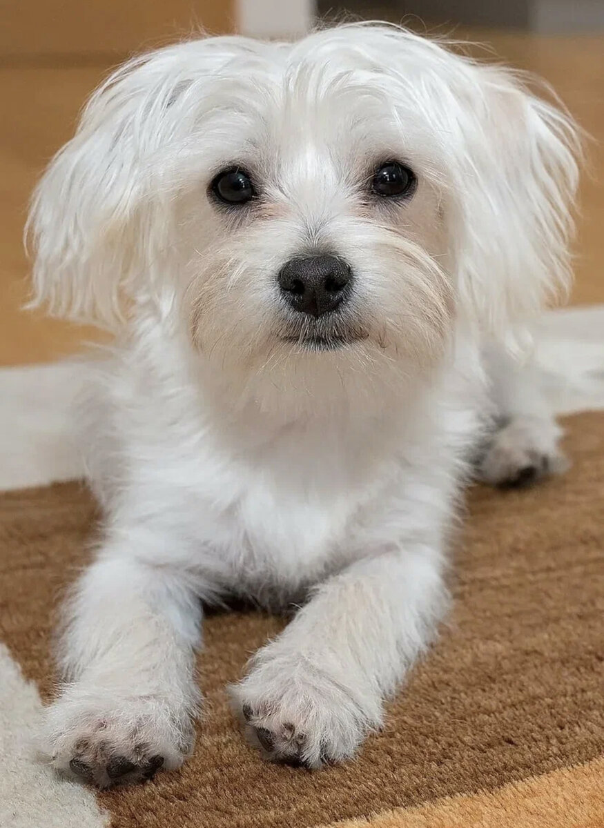 Фото из интернета