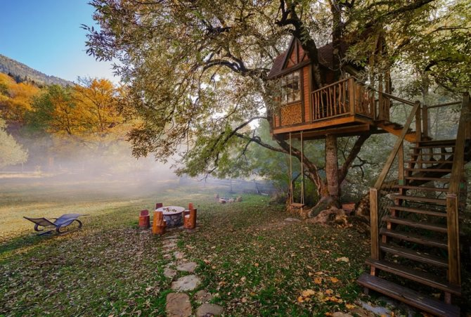 Домик на дереве.  Источник: Яндекс.Картинки