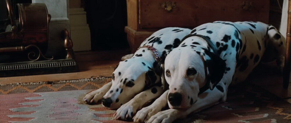101 далматинец 1996. 101 далматинец понго. 101 dalmatians 1996. 101 далматинец понго. далматинец 1996.