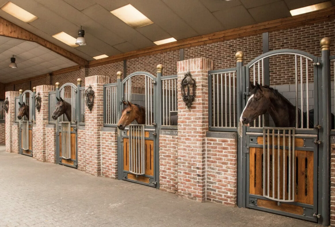 конюшня грин хорс. конная ферма «лошади дзержинский». денники в конюшне. стк магистраль денники. стк магистраль денники.