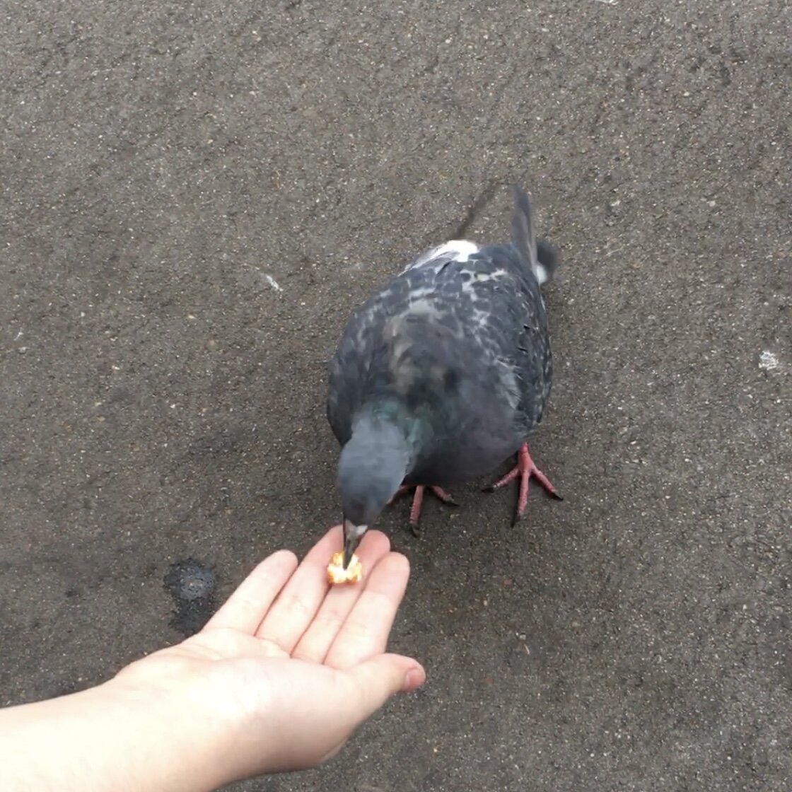 Фото из семейного архива. 