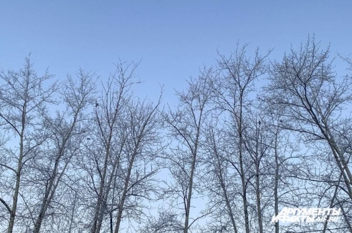    На Алтайский край надвигаются морозы до -30 градусов