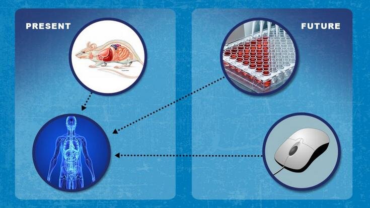   Advancing Alternative Methods at FDA