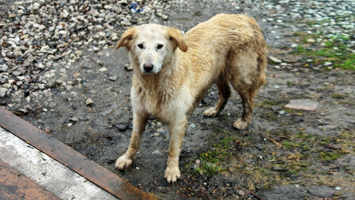 источник фото: krasivosti.pro