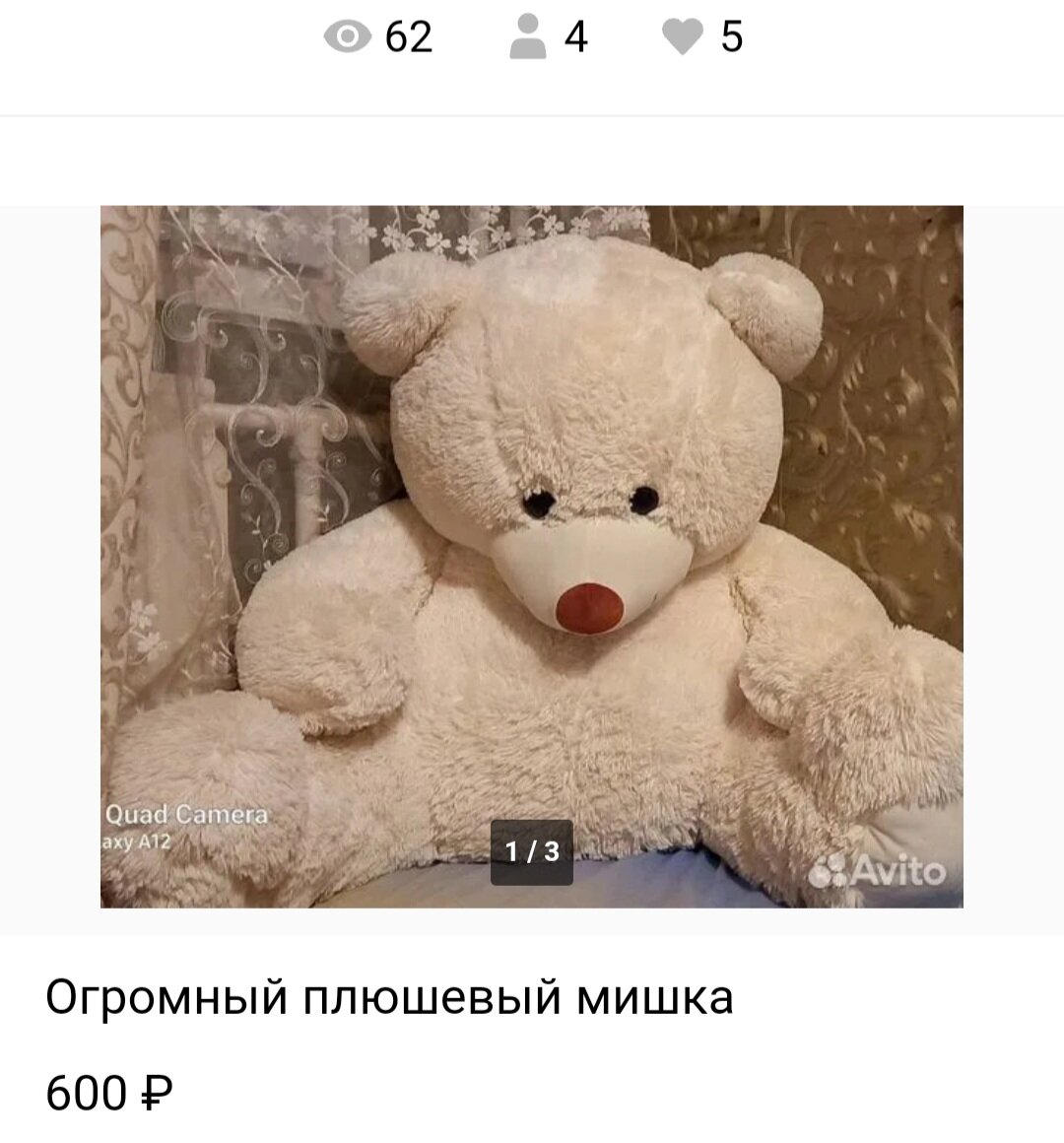 Медведь ждал своего покупателя полгода, только место занимал. А надо было всего-то отвезти его обратно.