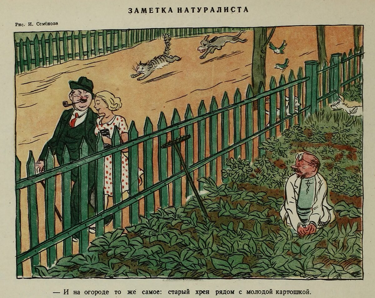 И. Семенов, «Крокодил», № 28, 1945 год
