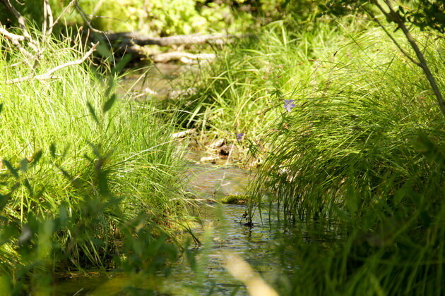 Фото: gorodtotma.ru