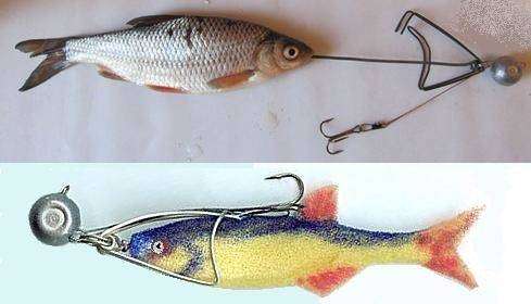 Поролоновая рыбка – изготовление, оснащение и ловля - Рыбалка на спиннинг