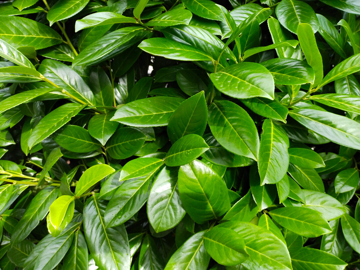 Фото автора канала