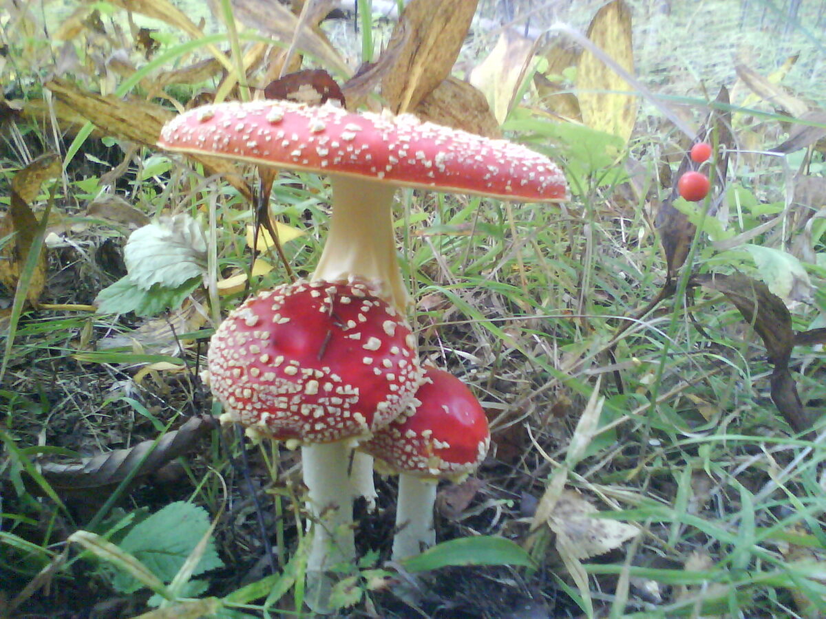 Фото Наталии Седовой