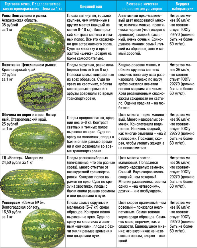 Особенности выращивания астраханских арбузов, когда созревают и какотличить сорта