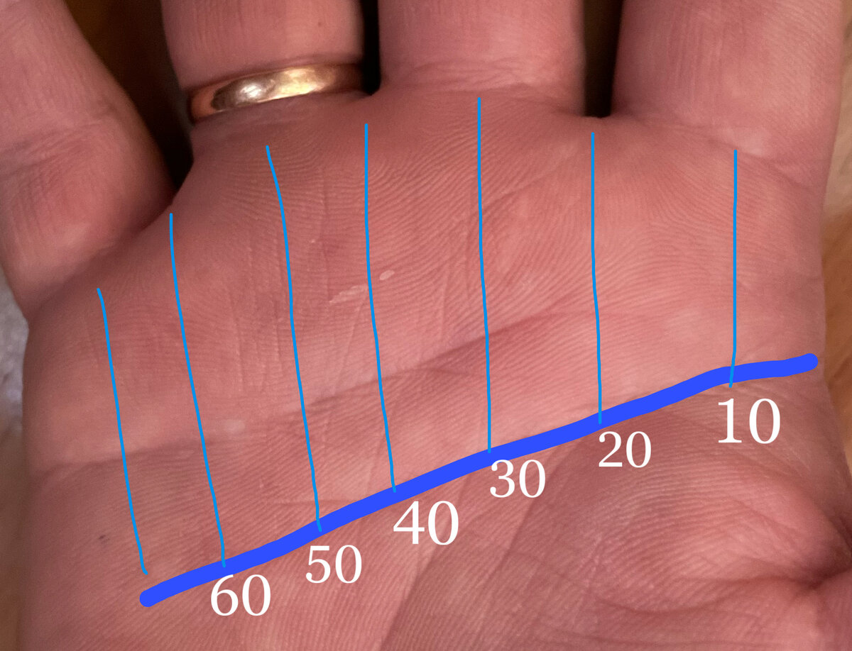 Линия жизни на руке фото с расшифровкой для женщин на правой до скольки лет