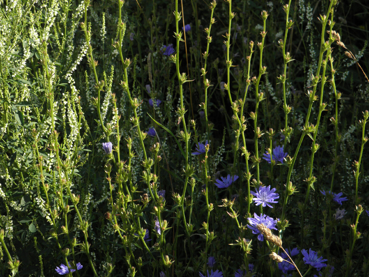 Фотографии авторские.