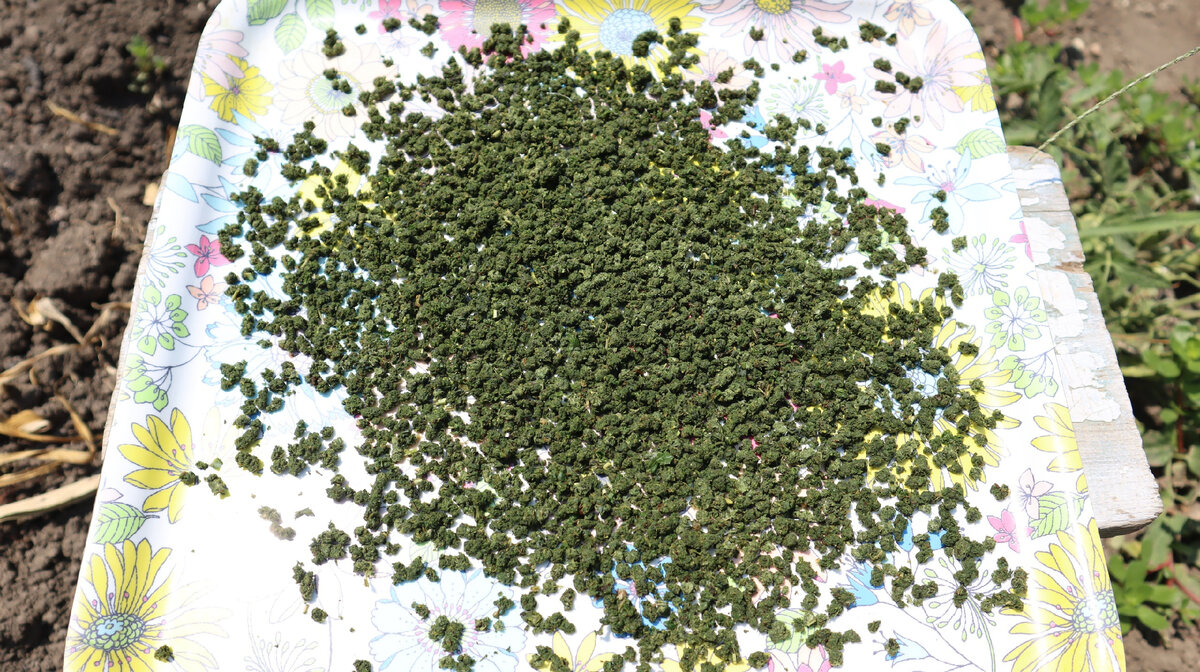 �������� ������