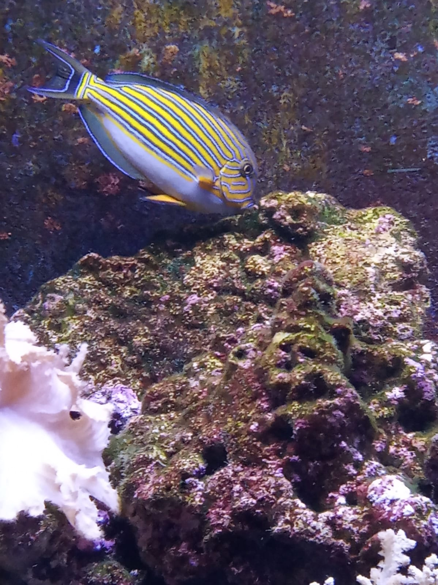 Фото взято из открытых источников 