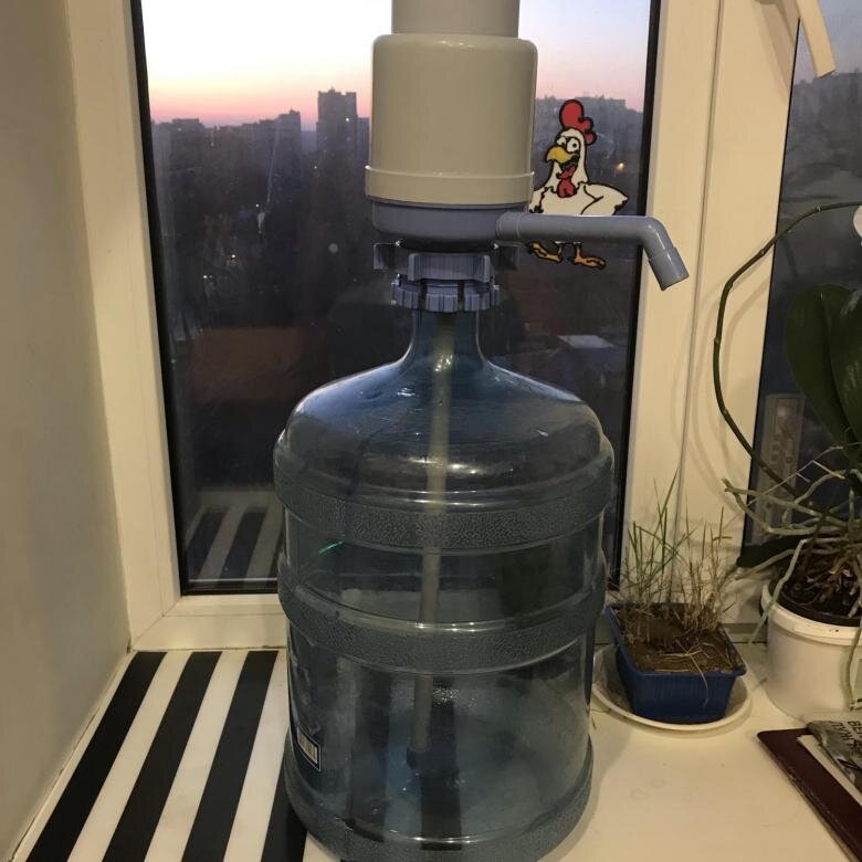 Фото из открытых источников
