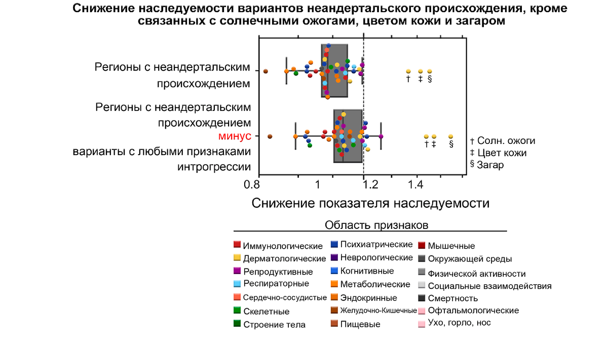 Вклад неандертальцев в ДНК современных людей. Группы крови неандертальцев и  денисовцев | Археология, история, генетика | Дзен