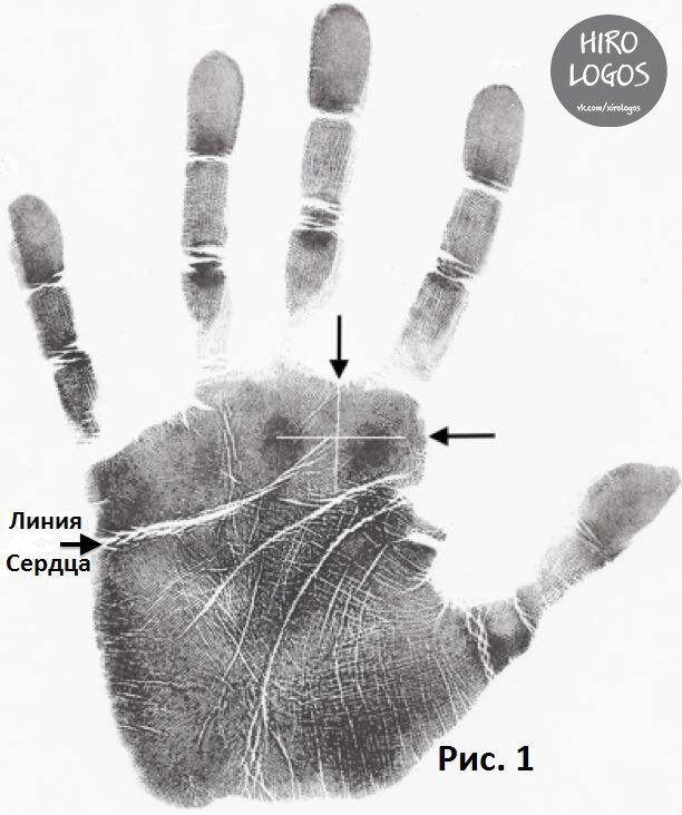 Схема расположения линии сердца на ладони.