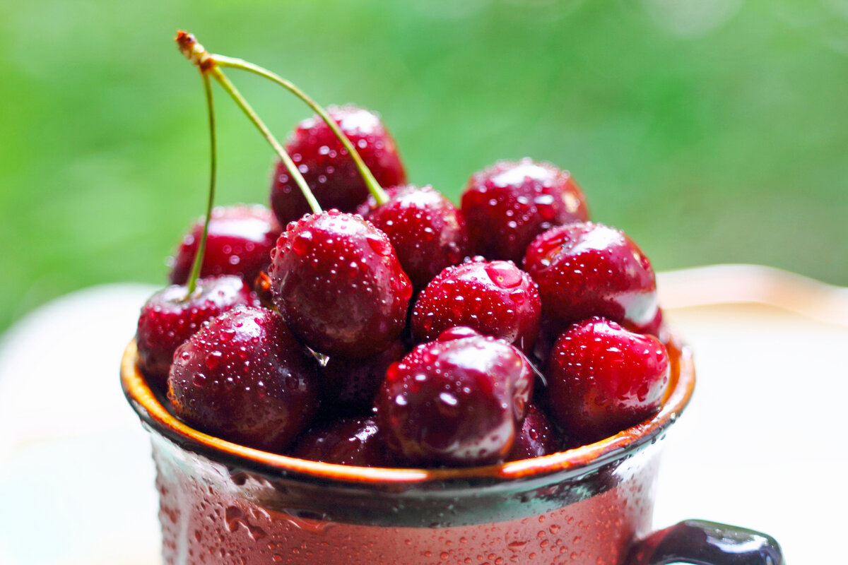 Дуэль, не повод отказать себе в черешне. Фото whoispro.ru