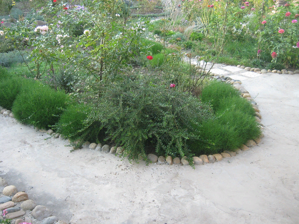 Лето 2010 года.