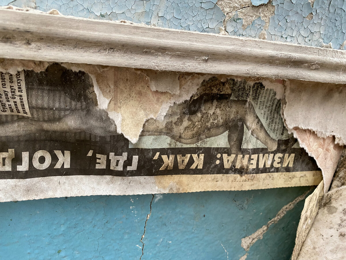 Тайга глухая безлюдная