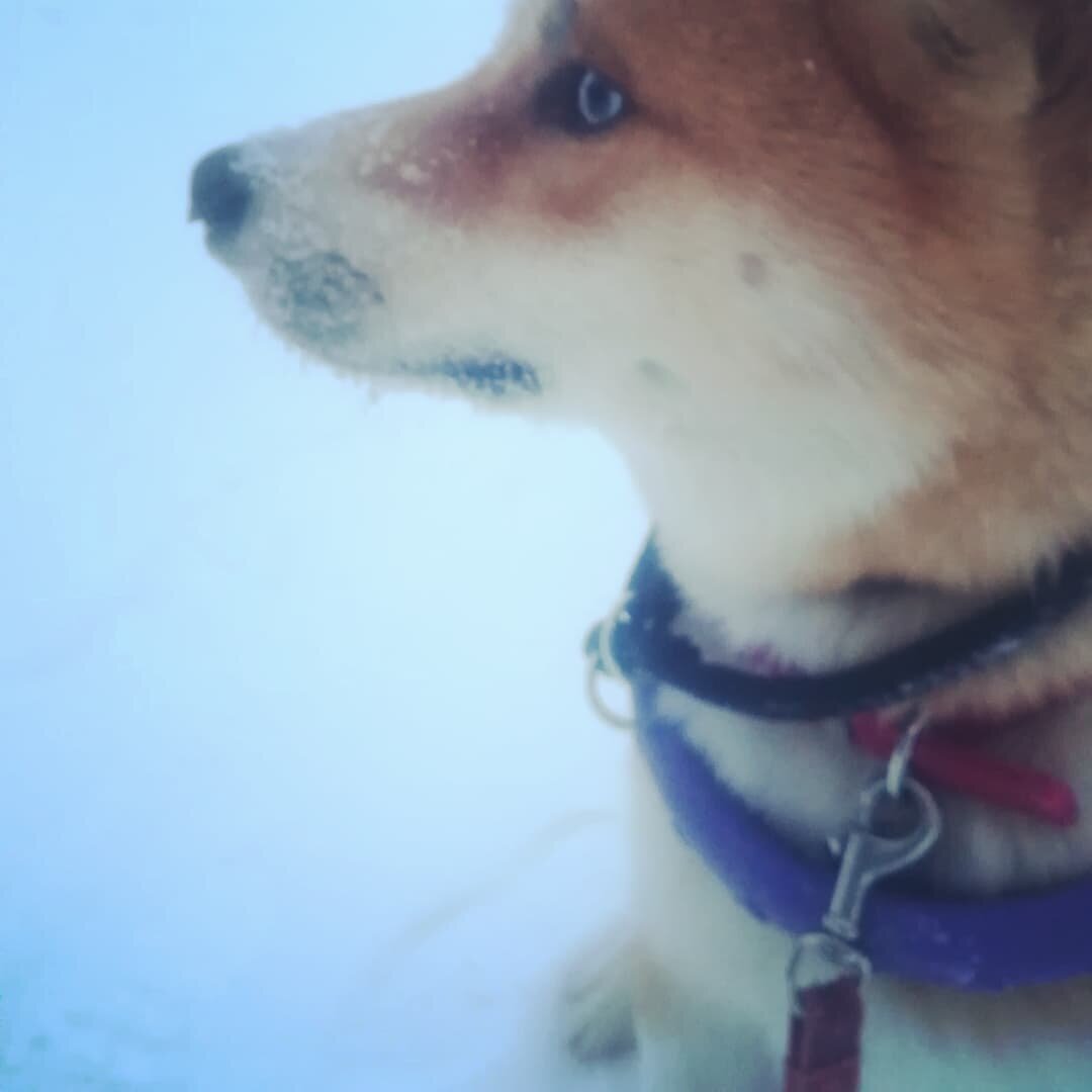 Приходите дружить в инстаграм, там фотки чаще появляются