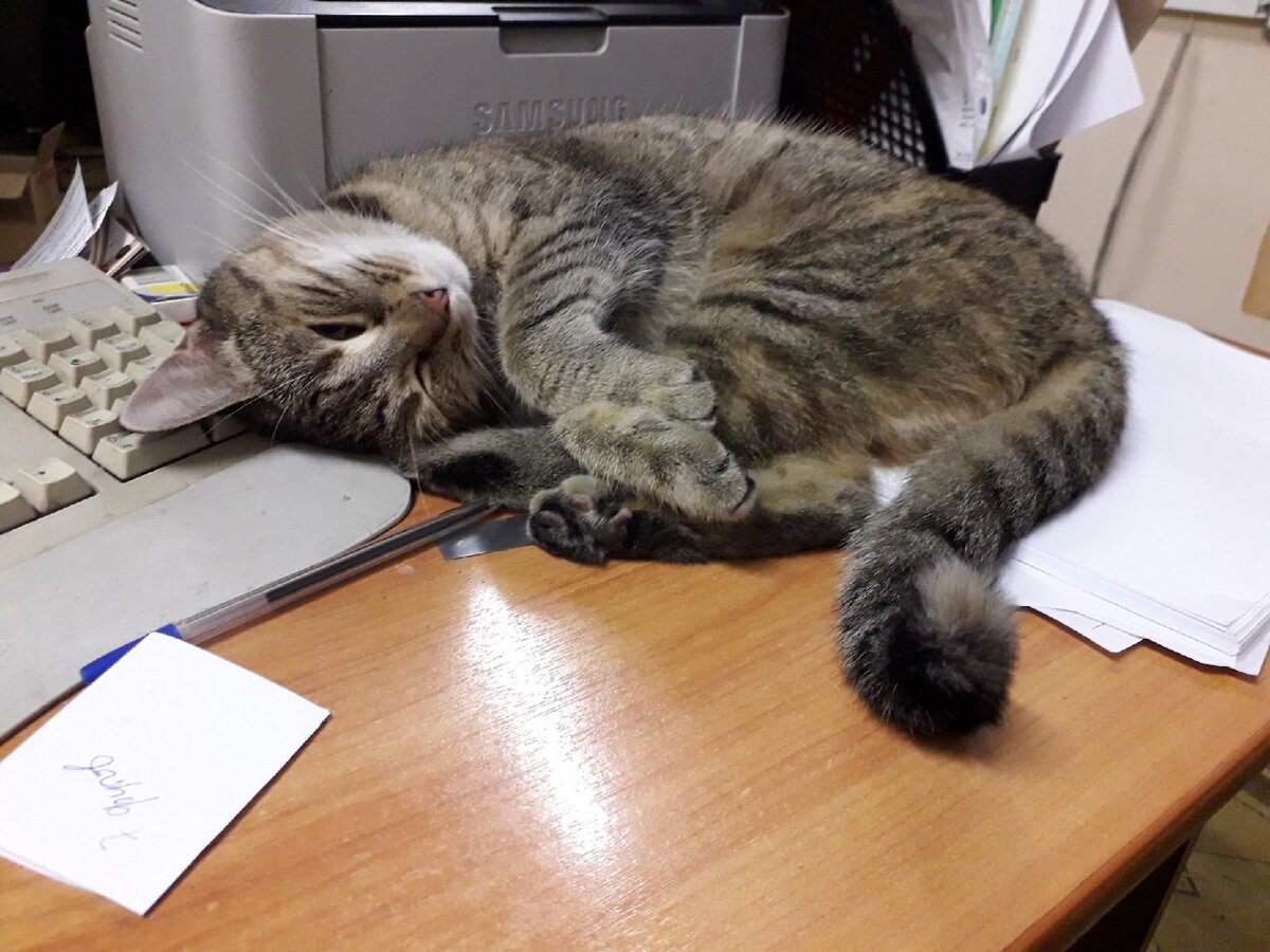 Вот просто Королева!