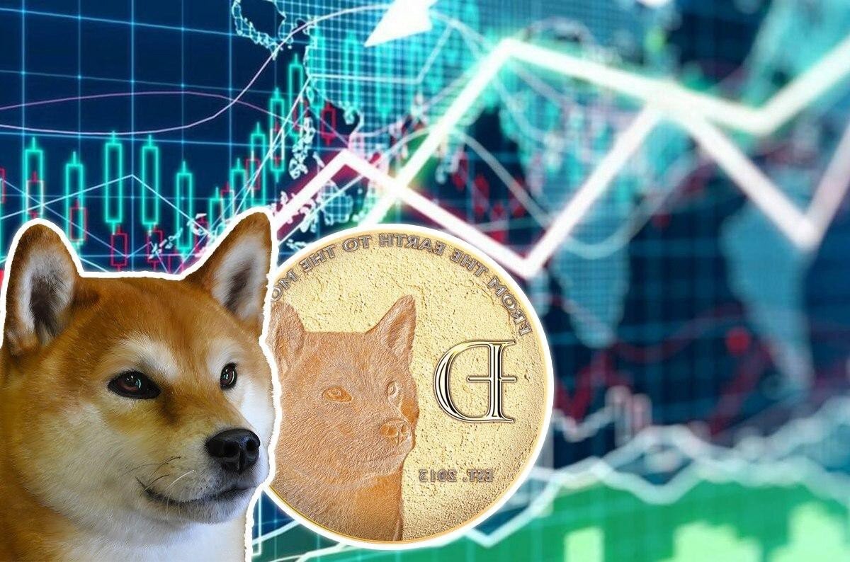 Shiba Inu