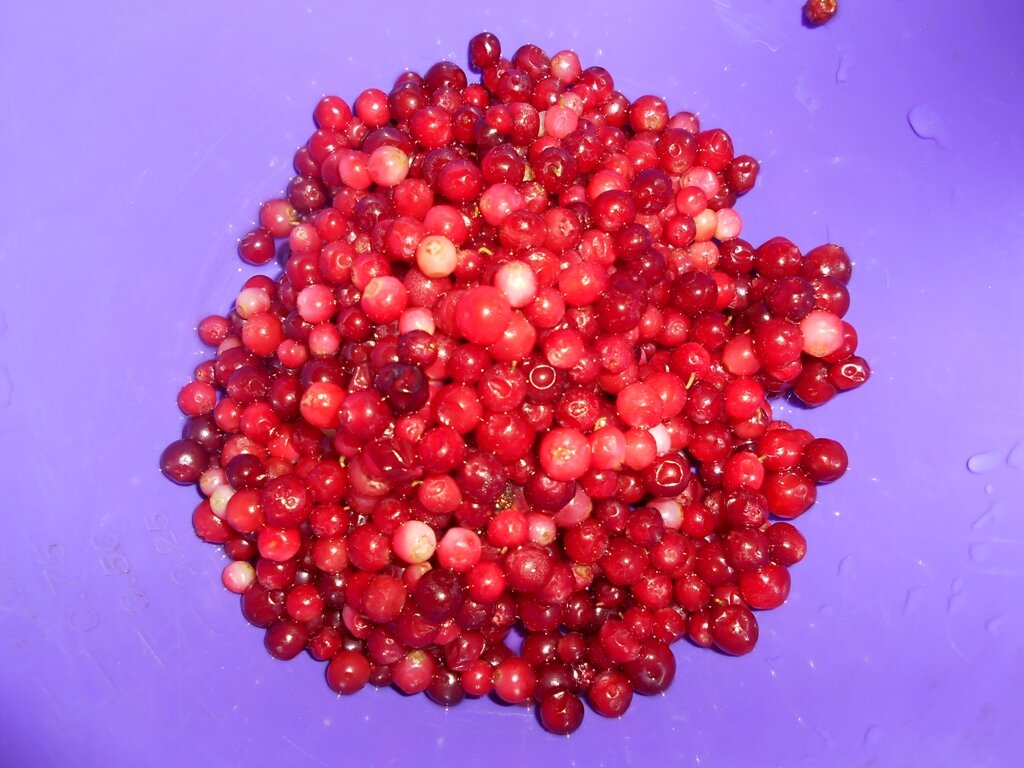 Брусника из морозильной камеры 