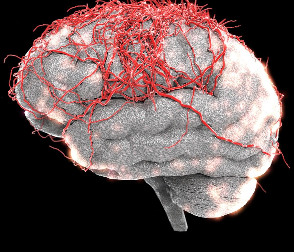 Brain nerve. Клетки головного мозга. Гибель клеток головного мозга. 9000000000 Клеток головного мозга. Клетки головного мозга ме.