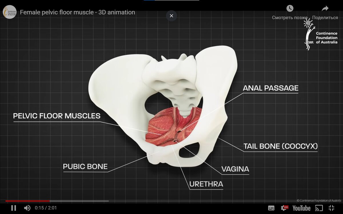 Очень хорошо видно, где что располагается. 
