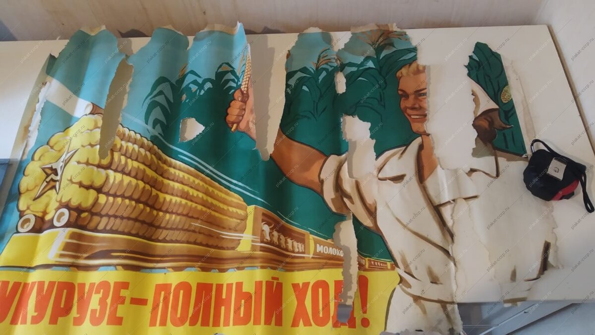 Из открытых источников