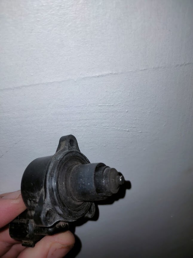 Стерлись усики