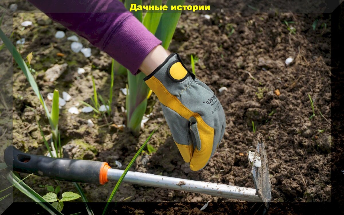https://vk.com/photo-159774511_457252178