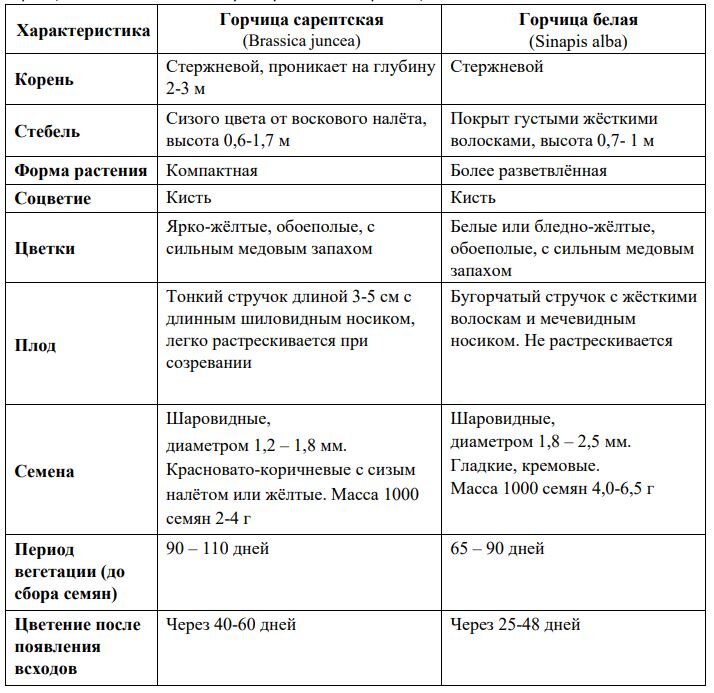 Сидераты когда сеять и когда закапывать