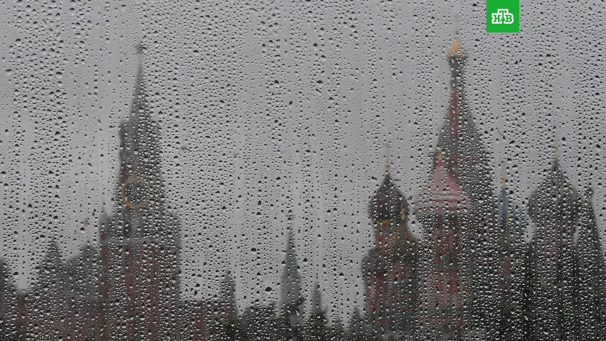    Фото: РИА Новости © 2022, Кирилл Каллиников