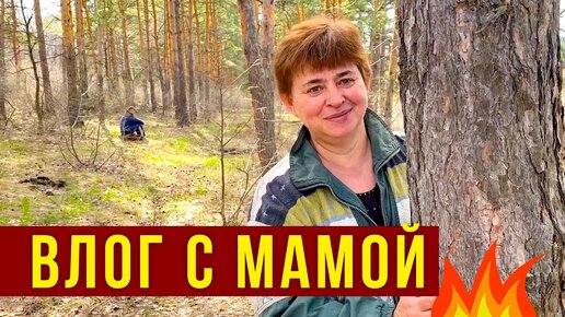 Влог с Мамой - Курочки, Едем в ЛЕС, Копать ЗЕМЛЮ / Ужин в КАФЕ, гуляем по Саратову