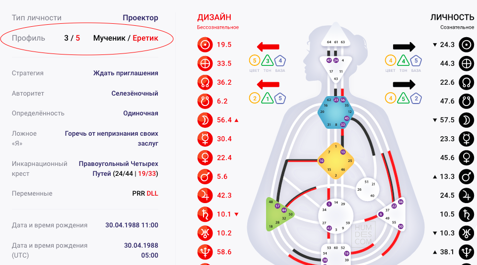 Дизайн человека рассчитать