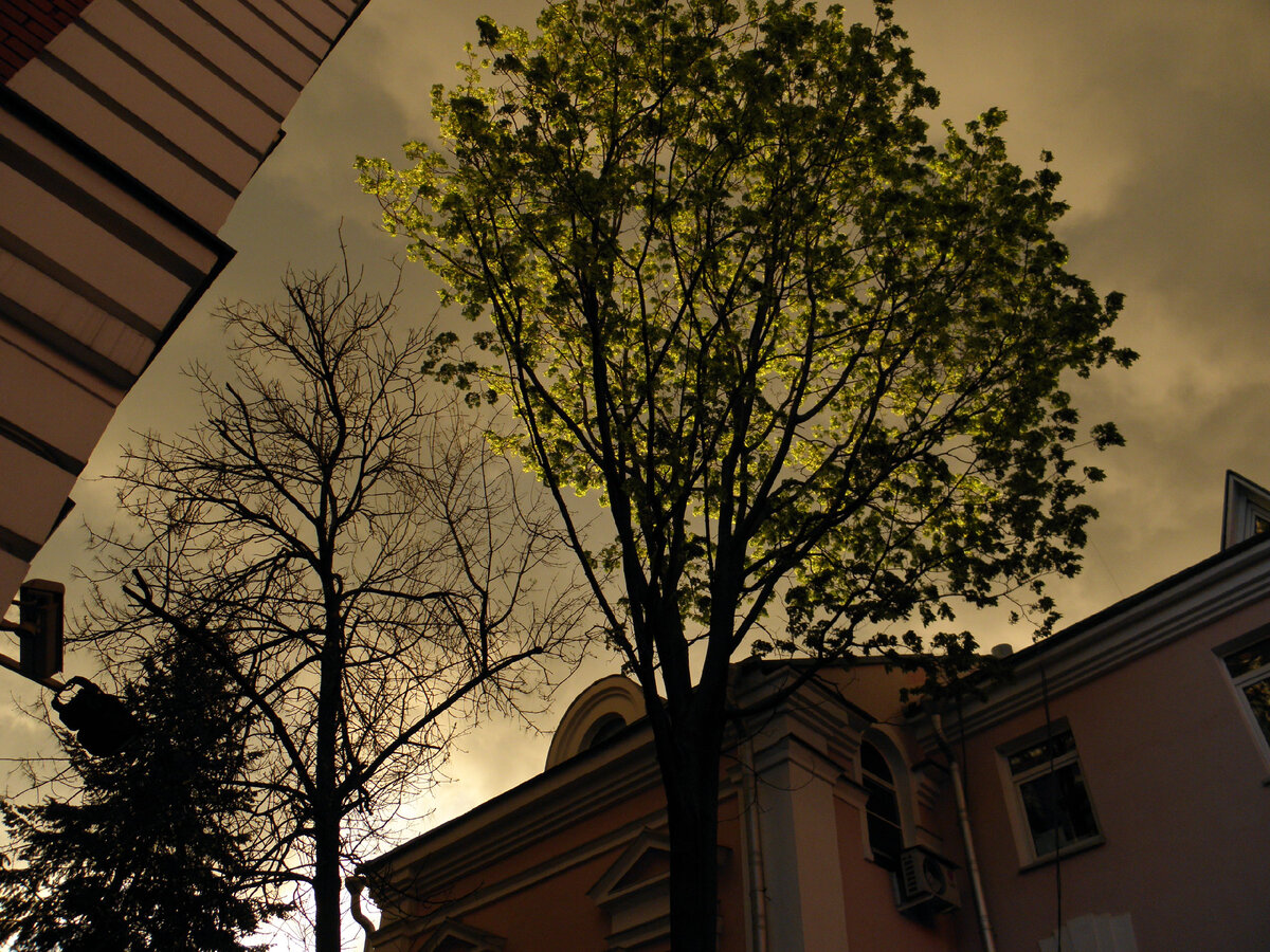 Погода в Москве в мае 2022. Фотографии авторские.