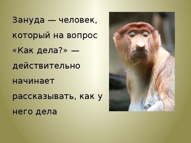 Люди- зануды, как с ними контактировать?