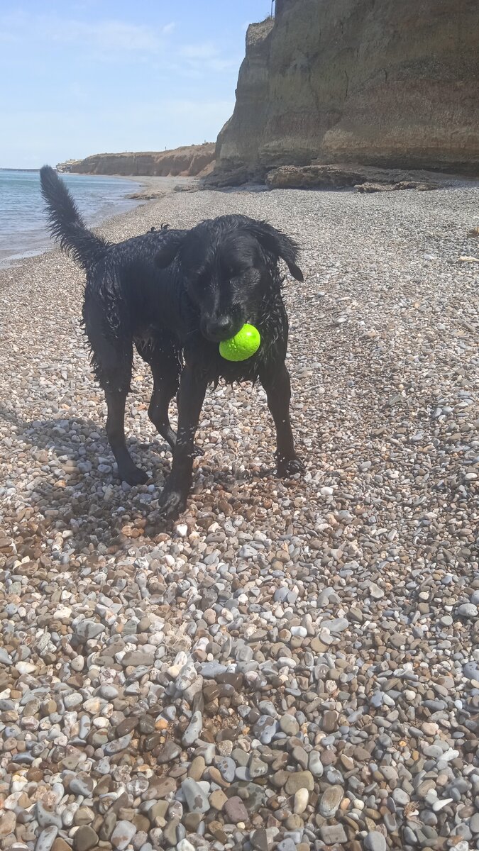 Я и мой мячик. 