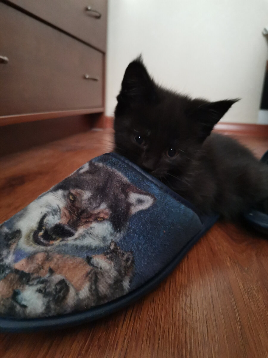 Моя любовь! 