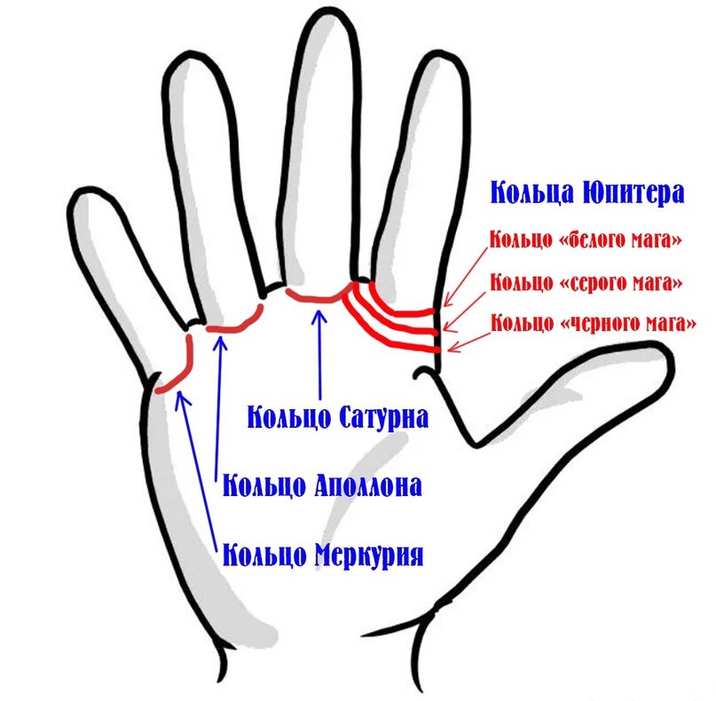 Линии на руке: фото, описание, расшифровка