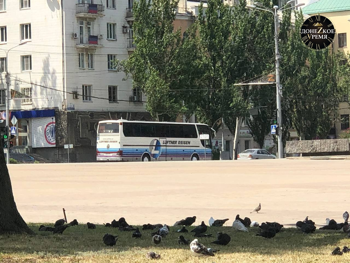 40 медалистов из ДНР отправились на праздник “Алые паруса” в Санкт-Петербург