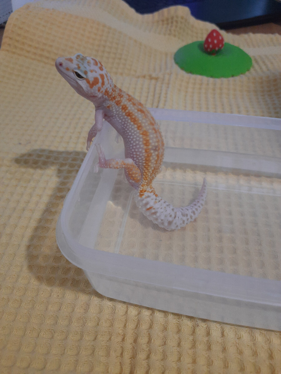 Принимает ванну