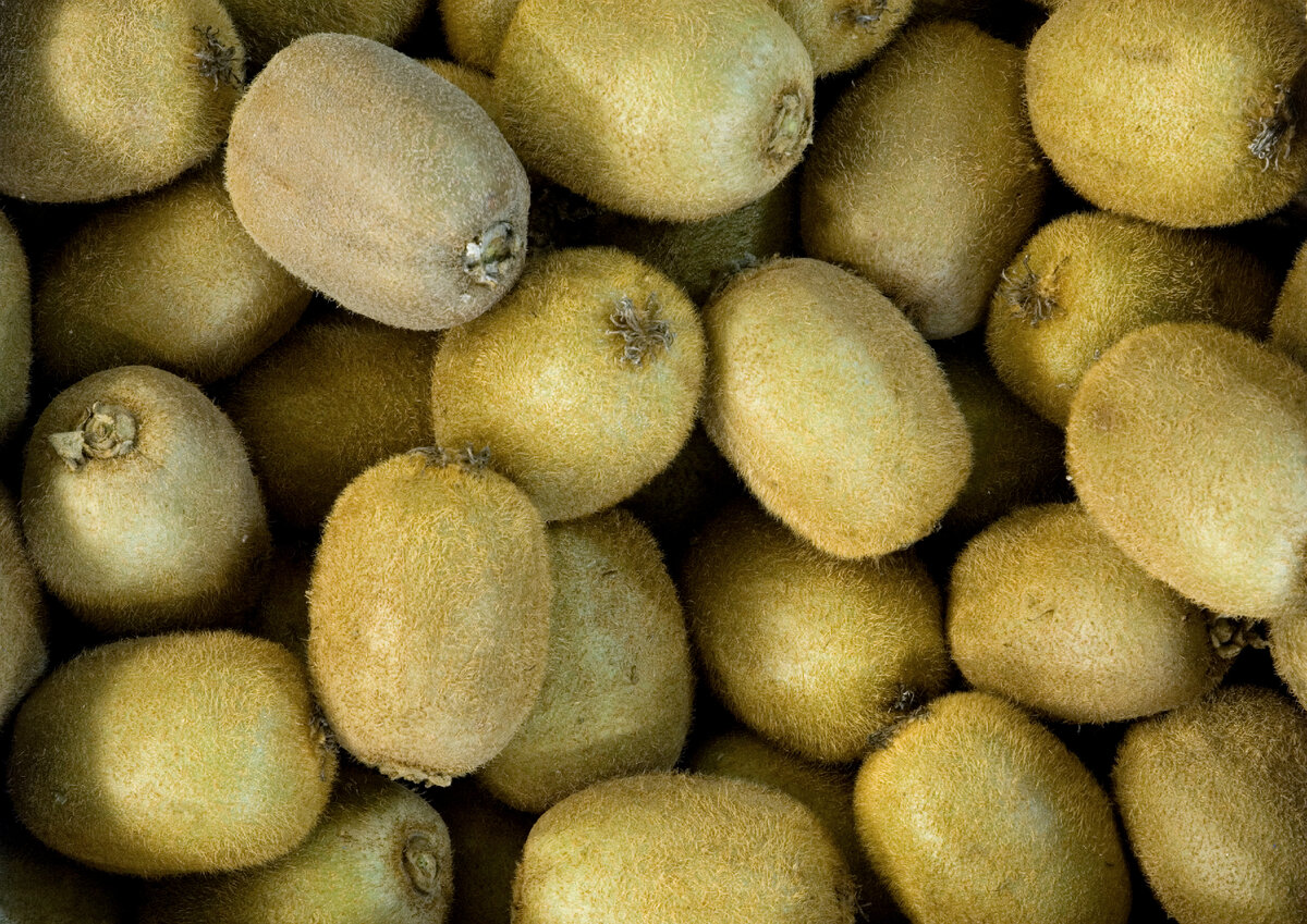 Киви. Фото: Global Look Press