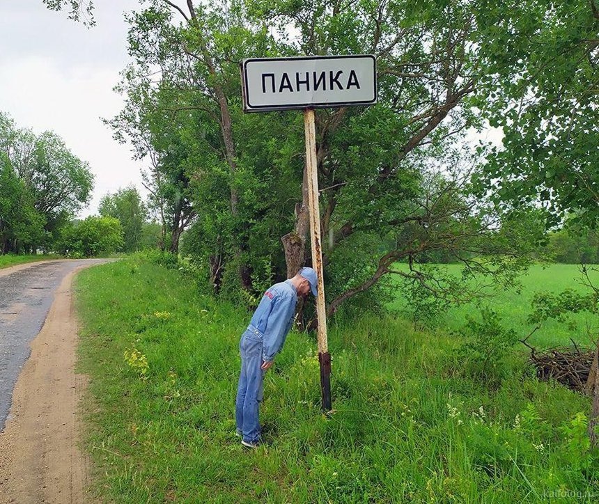 яндекс.картинки, свободный доступ