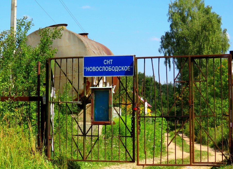 Размеры взносов в СНТ, новые правила проведения собраний: разбираем ...